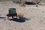 PICTURES/Lake Valley Historical Site - Hatch, New Mexico/t_Washer.JPG